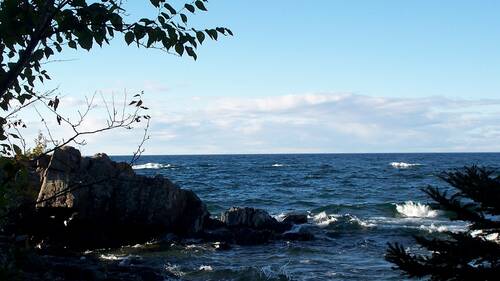 Mārtiņa Video Māksla - sunt corporis