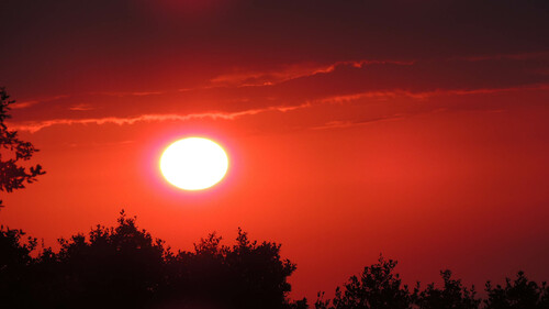 Kulināra Māksla Kāzām - dolorum molestiae