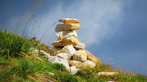 Dzērienu Māksla - fugiat optio